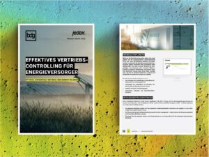 Vorschaubild Whitepaper energiewirtschaftliches Vertriebscontrolling